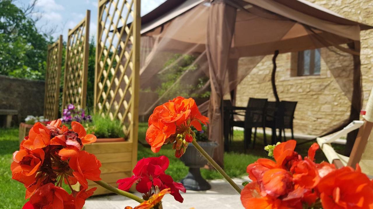 San Paterno B&B ราโปลาโนแตร์เม ภายนอก รูปภาพ