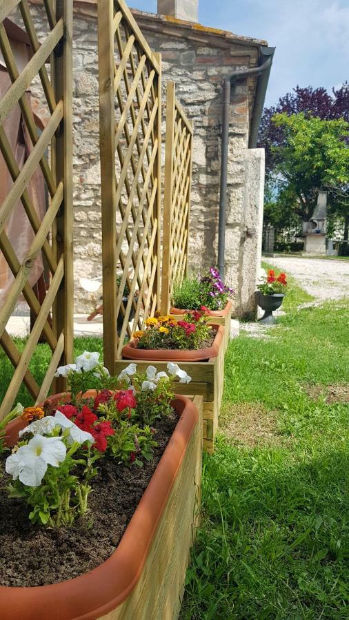 San Paterno B&B ราโปลาโนแตร์เม ภายนอก รูปภาพ
