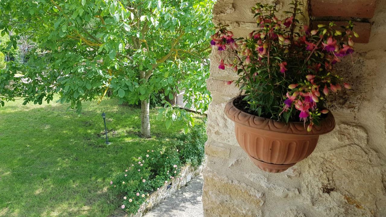 San Paterno B&B ราโปลาโนแตร์เม ภายนอก รูปภาพ