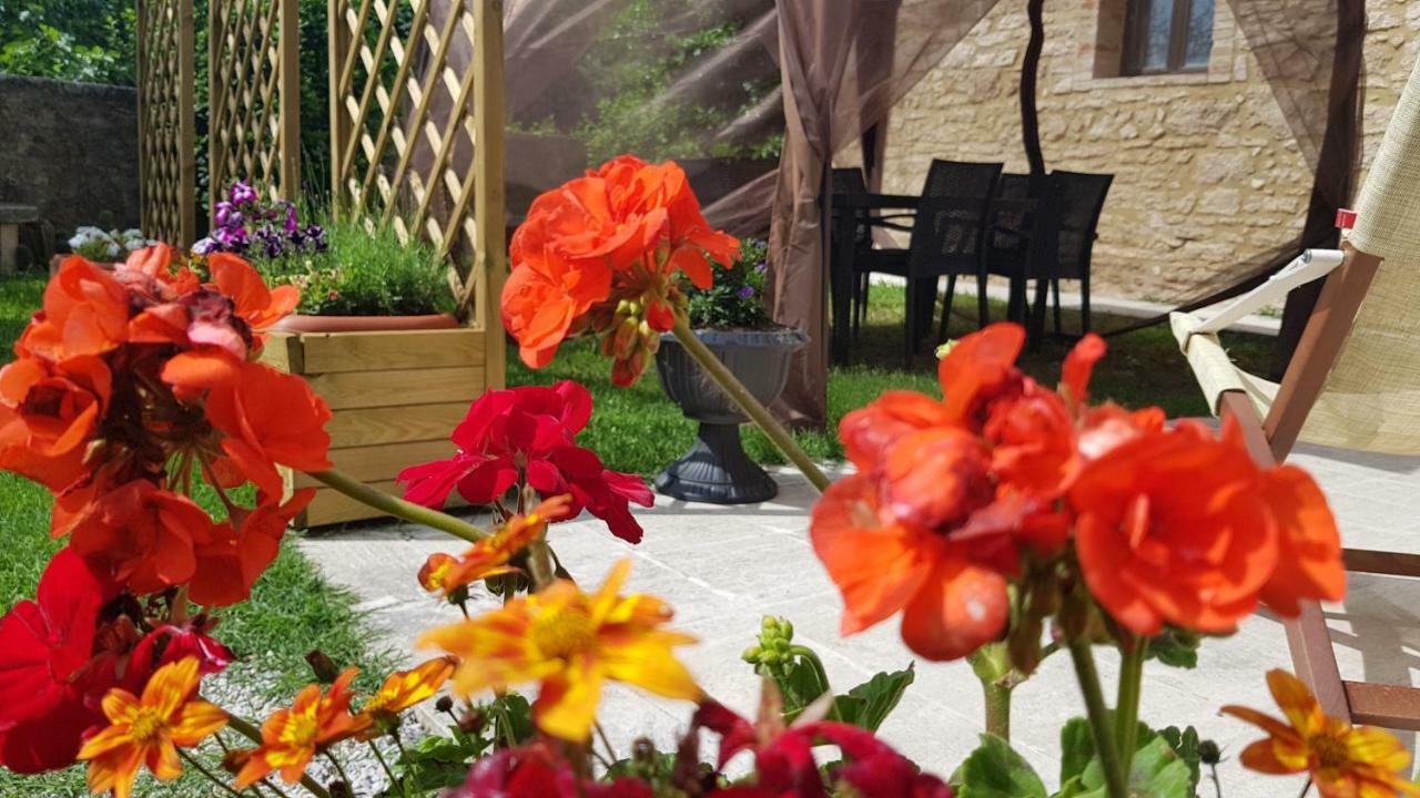 San Paterno B&B ราโปลาโนแตร์เม ภายนอก รูปภาพ