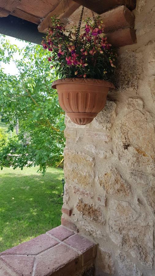 San Paterno B&B ราโปลาโนแตร์เม ภายนอก รูปภาพ